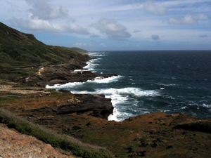 Hawaii surf